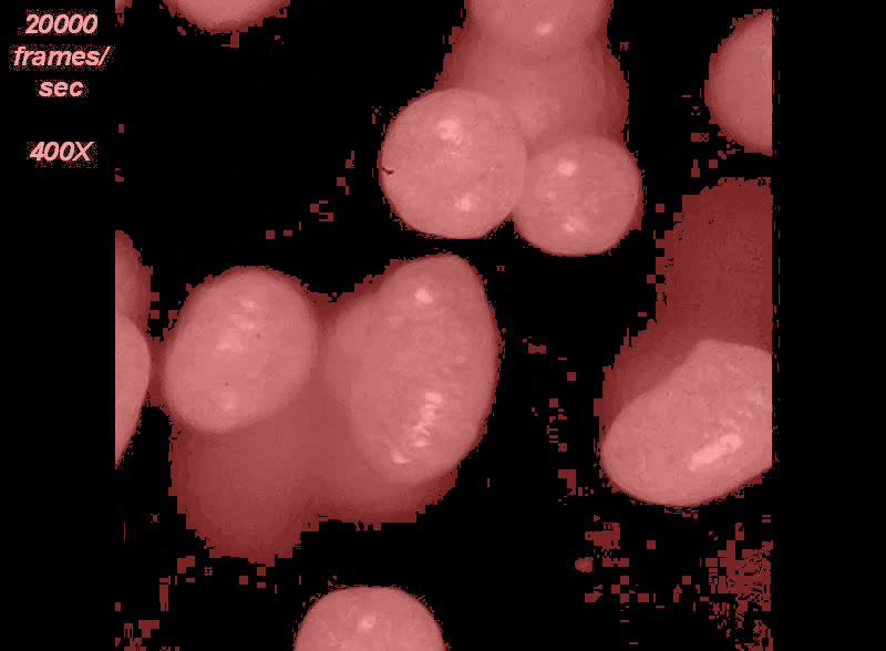 DBSCAN cluster overlay