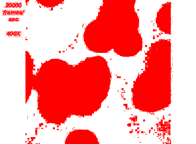 Binary mask showing dense regions